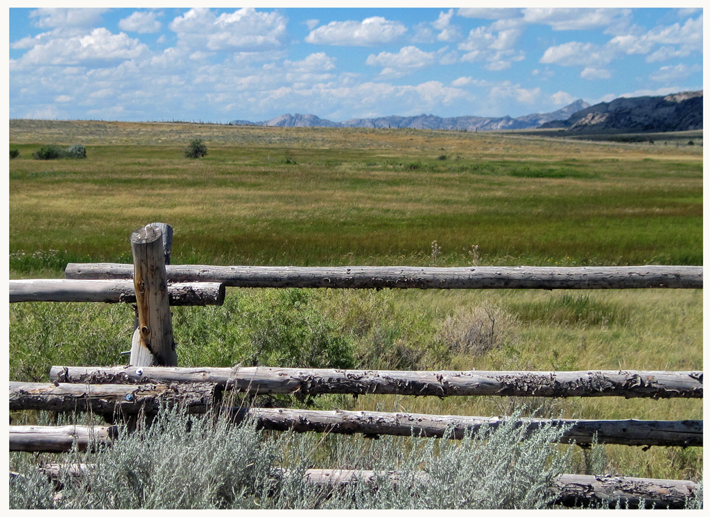 Traditional In Class B By Sandra Nuhn For Dont Fence Me In OCT-2018.jpg